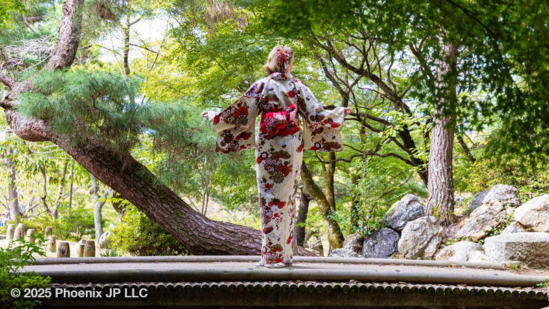A woman in a kimono standing on a bridge facing with her back. Trees are in background.