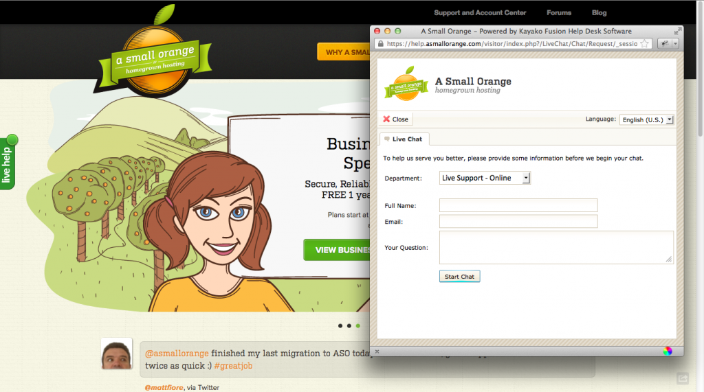 Screenshot of A Small Orange Website's Live Chat